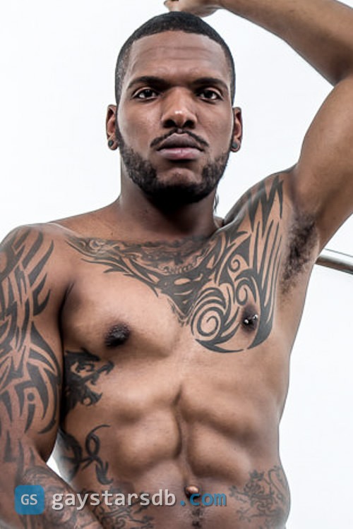 Aaron Reese