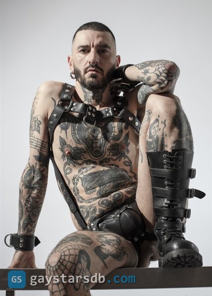 Stallion Papi