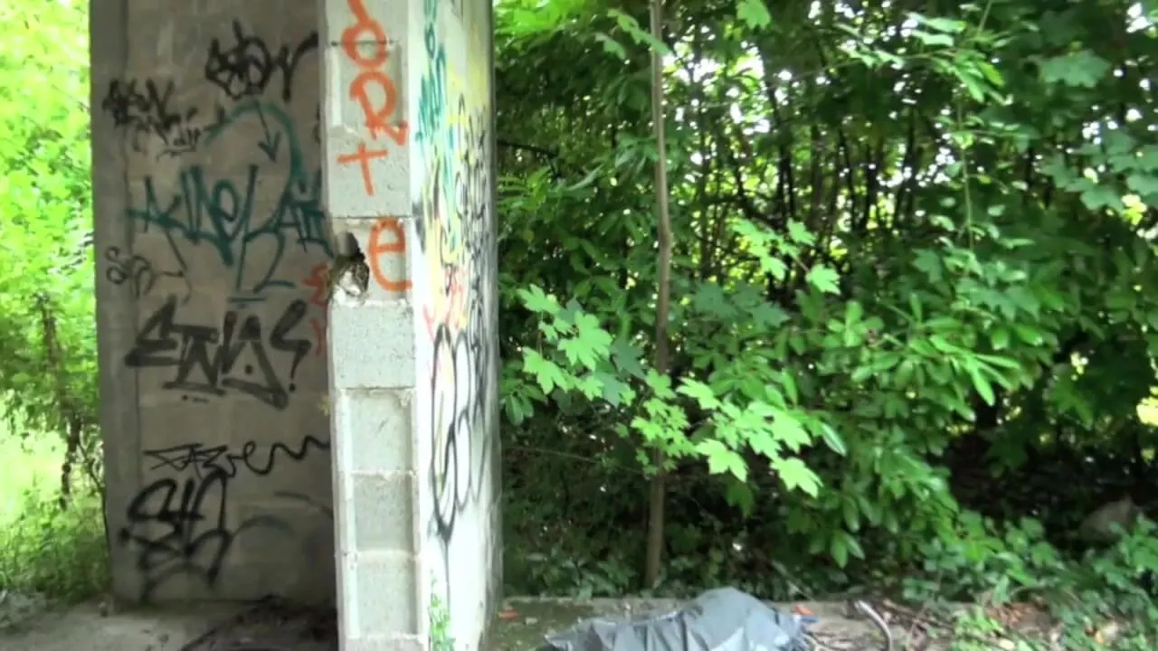 Yougn gay fucked by straight boy outdoor