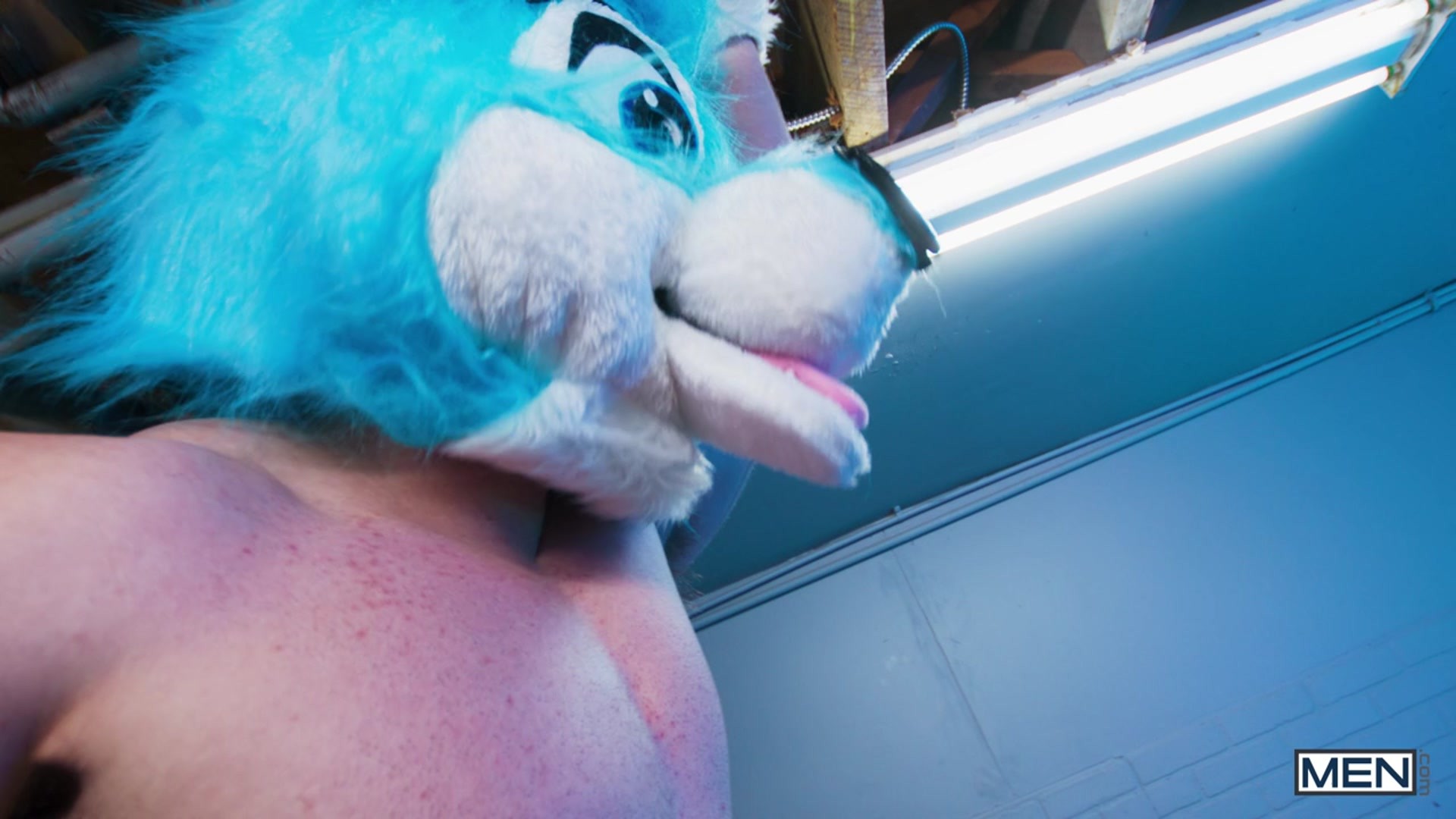 Fur Play